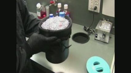 Lab Armor Cool Beans Chill Bucket - Science lab mobility
