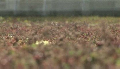 Vincennes : une administration éco-responsable