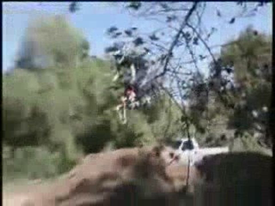 Pocket bike freestyle delire