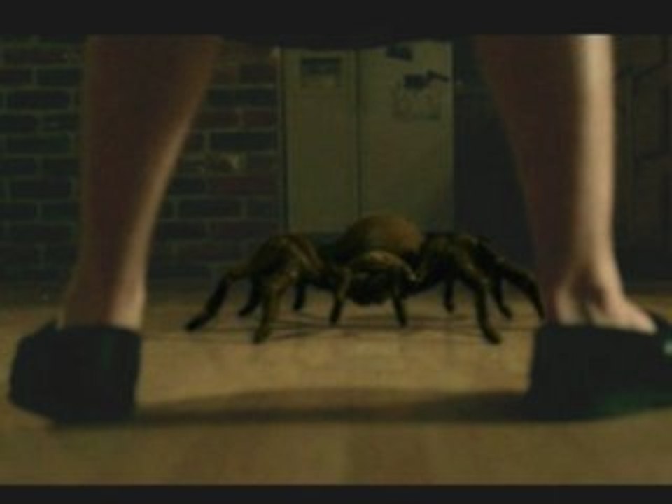 Itsy Bitsy bande annonce