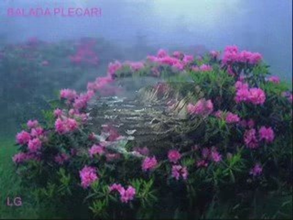 STEFAN_HRUSCA-Balada_plecarii(slideshow)[4'17]