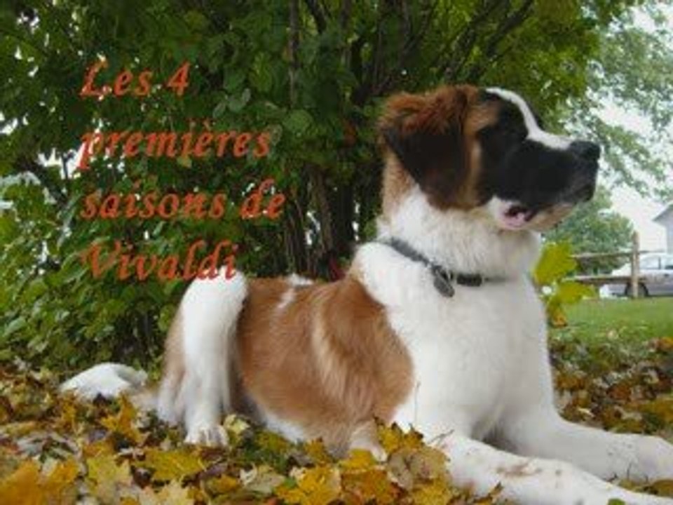 Les quatres premières saisons de Vivaldi