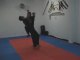 Poderosas Técnicas de Kung Fu com o Mestre Gomes Neto