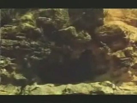 Ey rahmeti bol padişah Mehmet Emin Ay