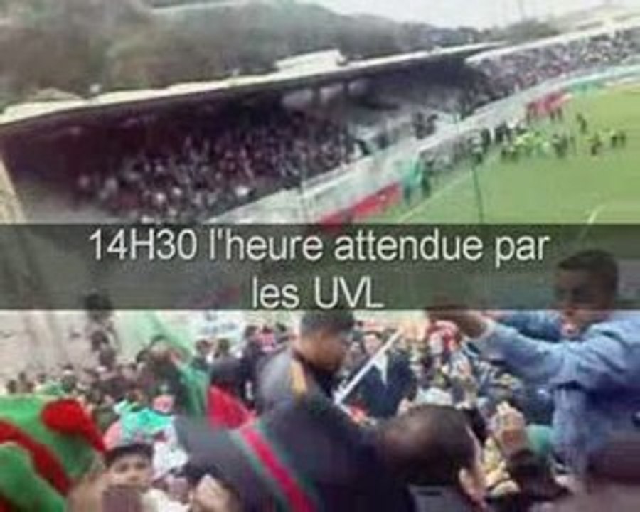tifo des verde leone (mca1-1crb)