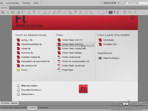 Flash CS4 : introduction à l'ActionScript
