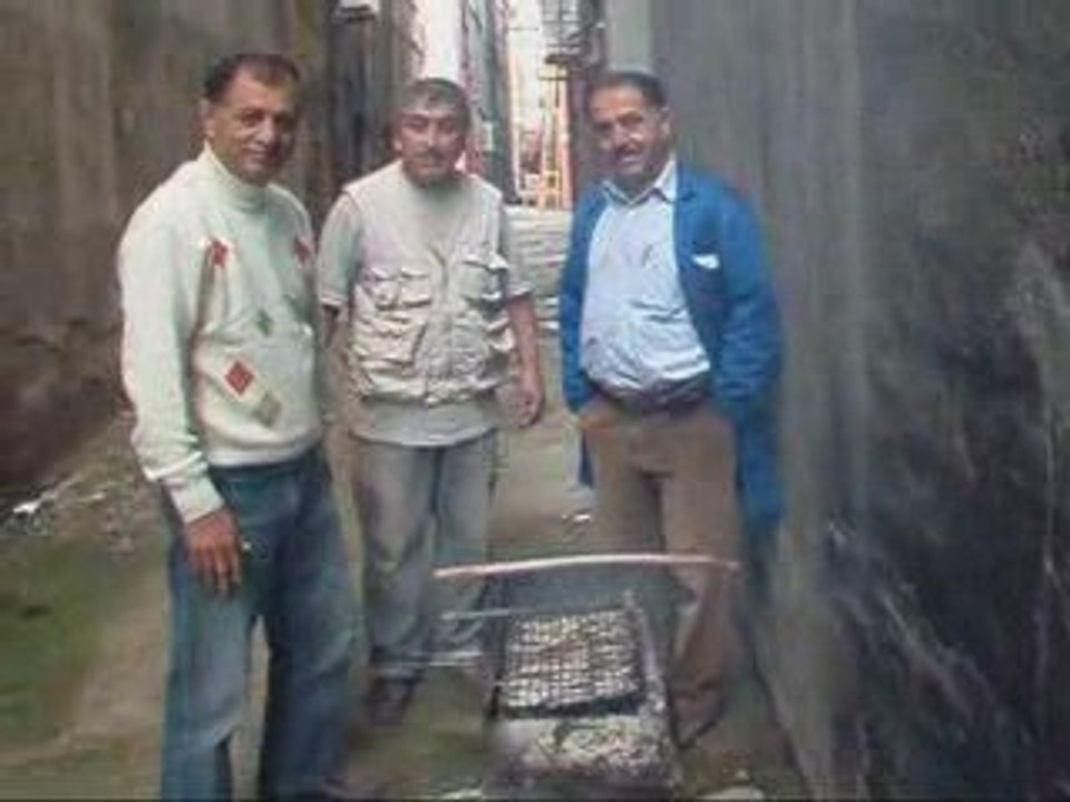 HAMSİ İSTANBUL