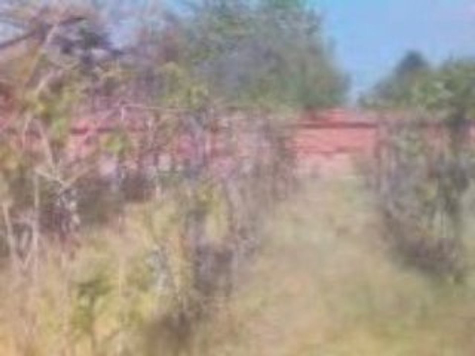30 04 2009 house 2