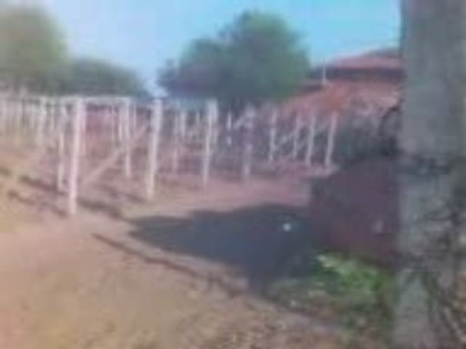 VINEYARD30 04 2009