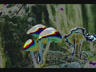 Phoenix - Last Mission