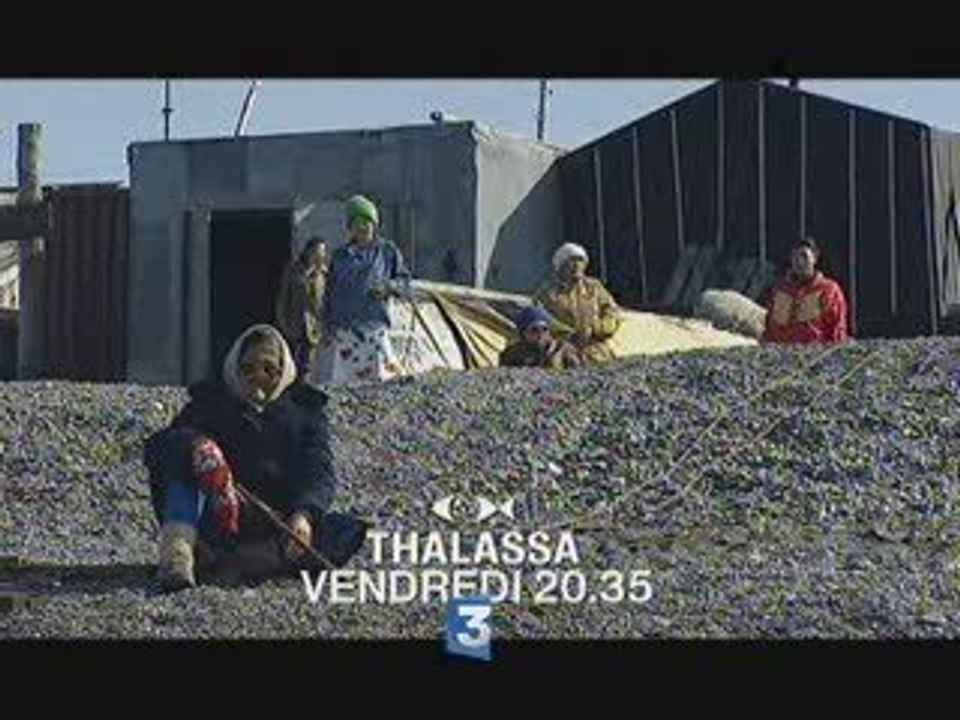 Thalassa - La mort d'un peuple
