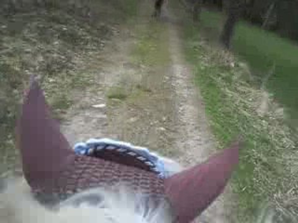 Galop balade branche