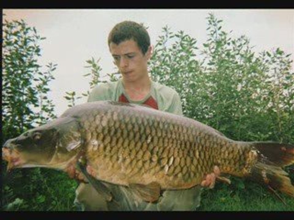 river lot 2