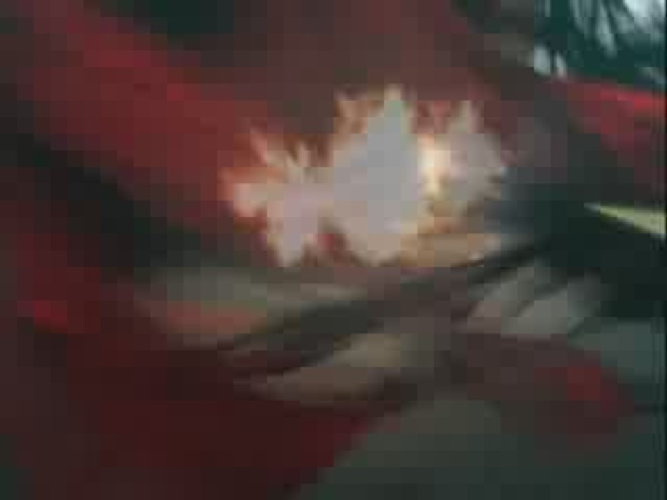 Les_2_minutes_du_peuple_-_Final_Fantasy_Advent_Children
