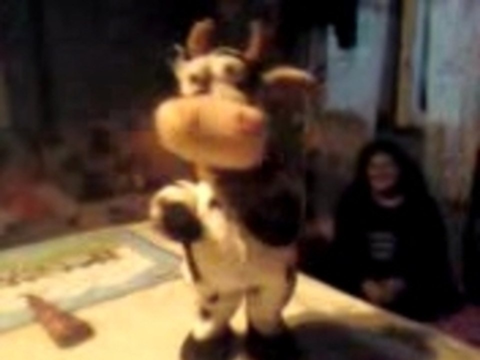Vache qui danse