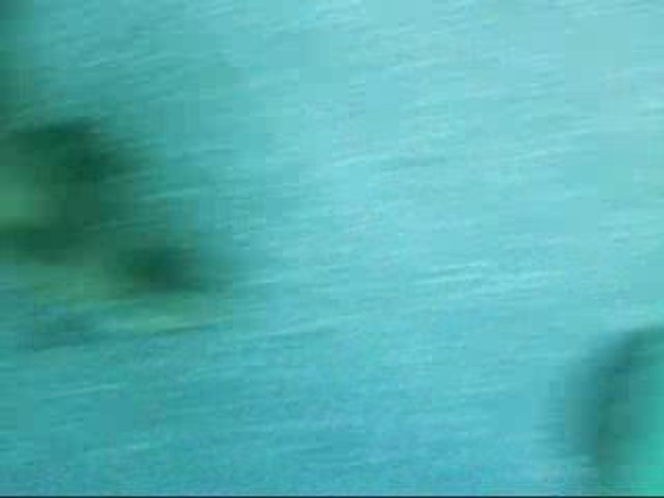 Du fun dan une poubelle