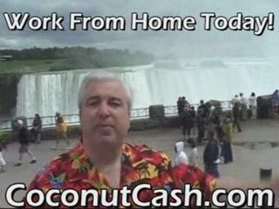 Zurvita MLM Home Based Business