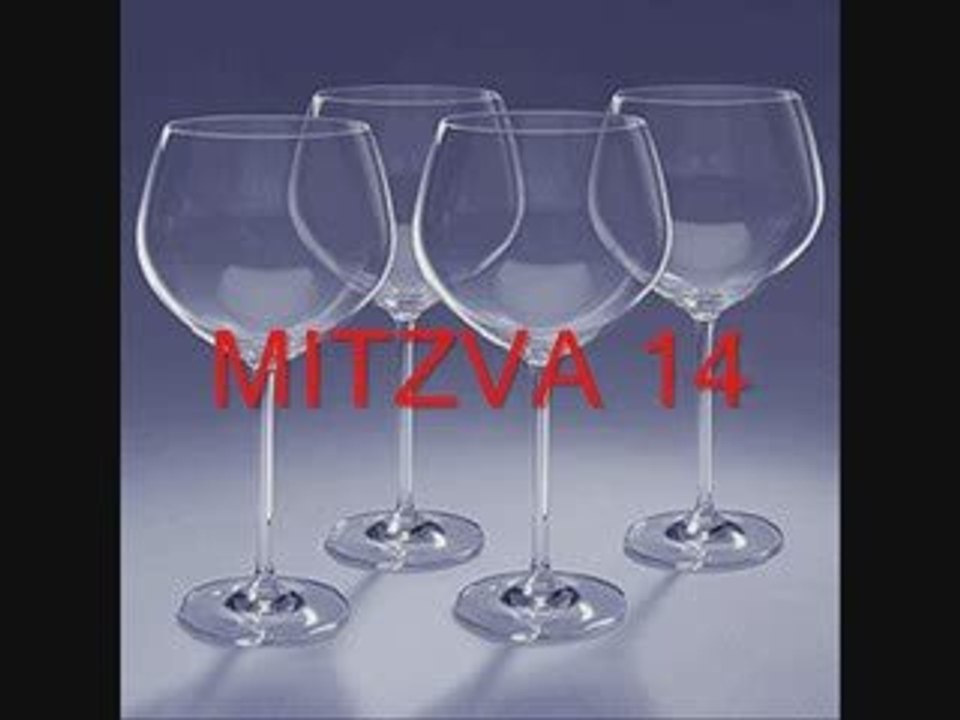 Mitzva 14