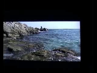 Chaîne Pipi : Guide et Conseils