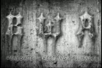 RWA Intro Vid 4-30-09