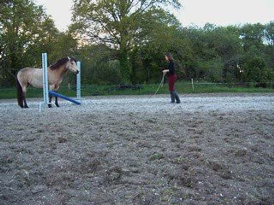 Saut aller retour!!!