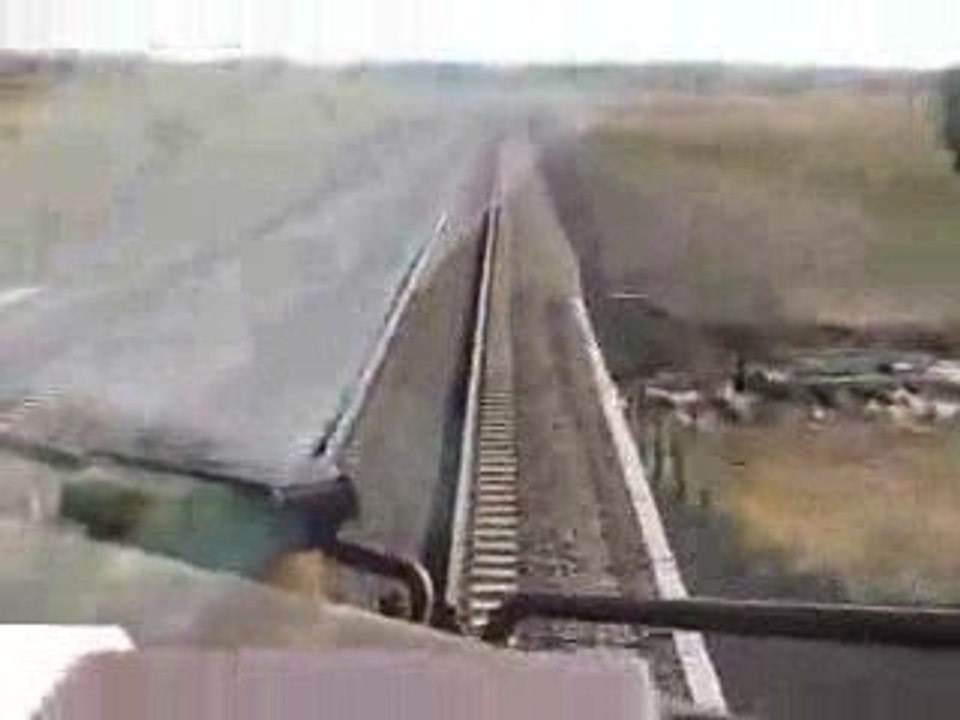 Cow-vs-train