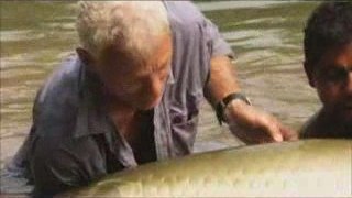 River Monsters - Giant Arapaima in the Amazon