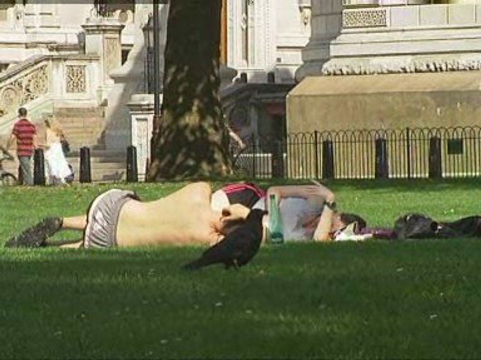 Warm summer expected