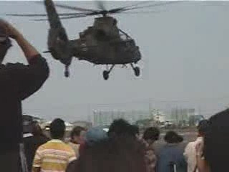 Ninja OH-1  Japanese Military Helicopter