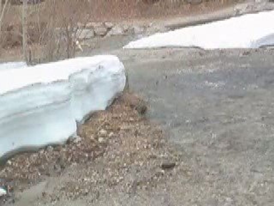 L'eau de neige