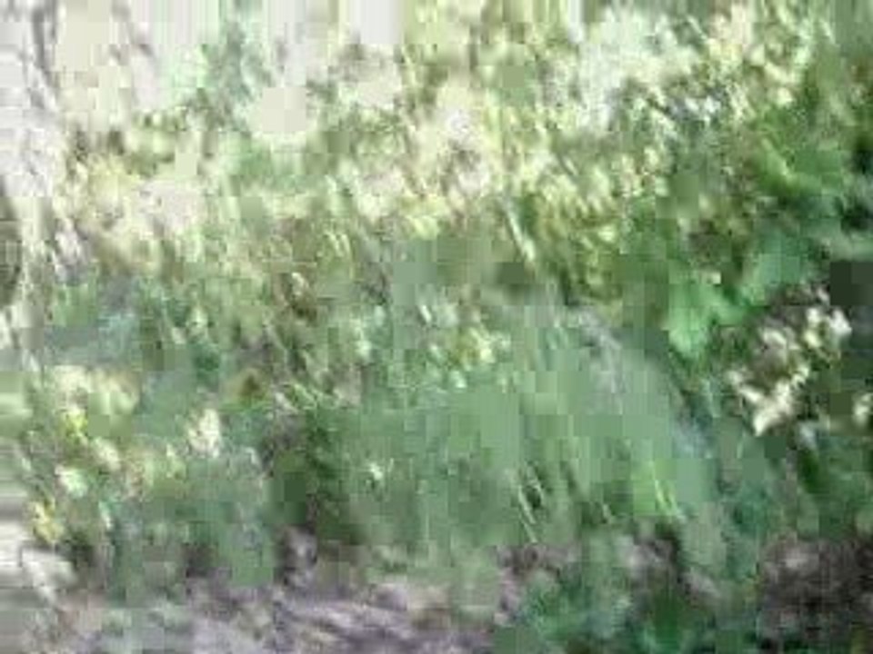 Avia initie Déco sur un ferme roulant.