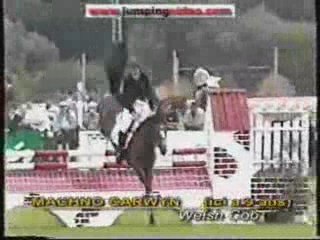 poney célébre partie01