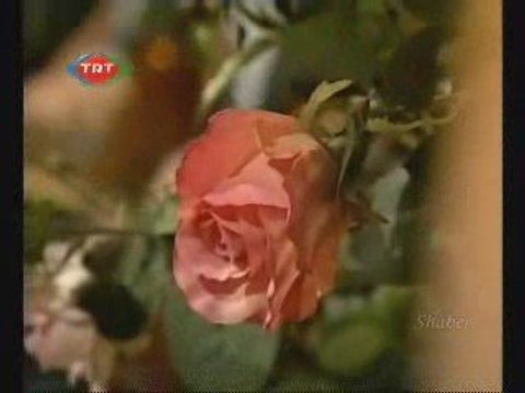 Alemlere Rahmet Allah adın zikredelim evvela