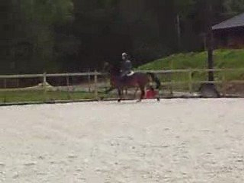 Dany et moi, nos débuts...