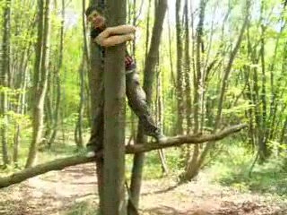 laurent sur un arbre percher xD