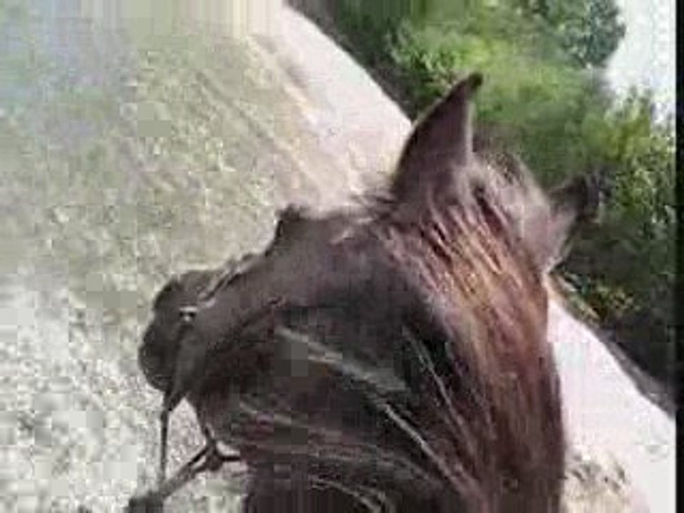 Douune & Muaa dans l'Eyrieux