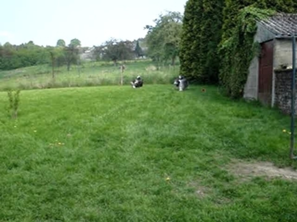 MOV01385