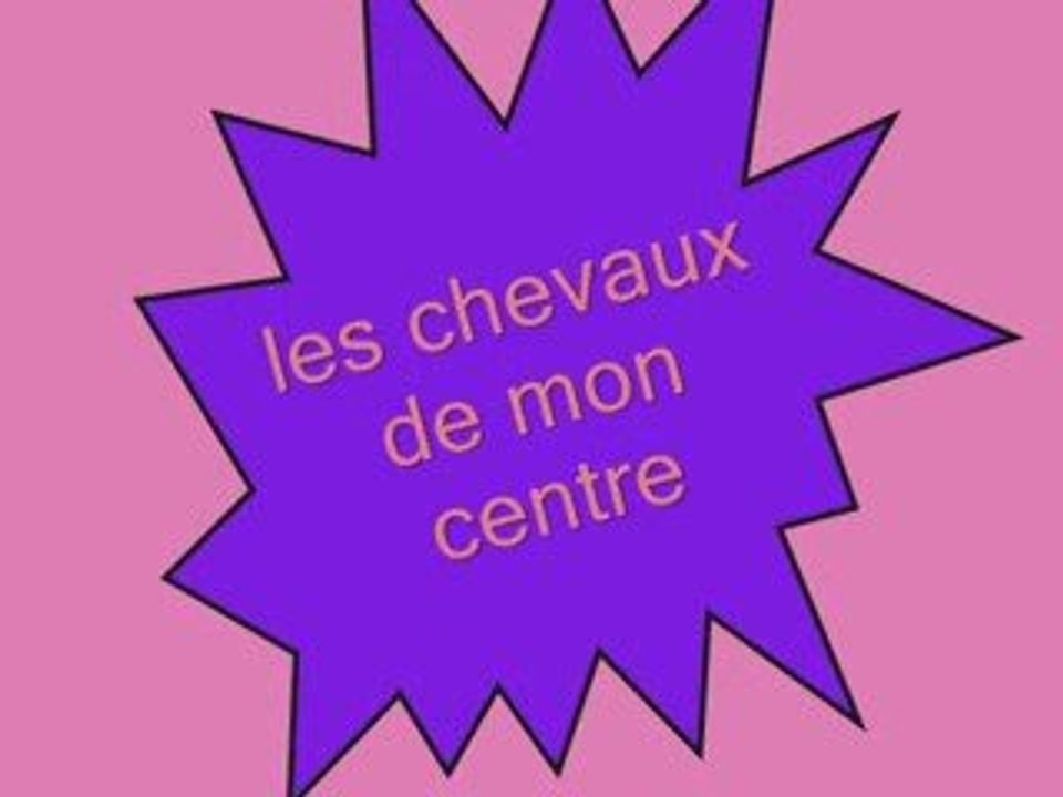 video des chevaux du centre