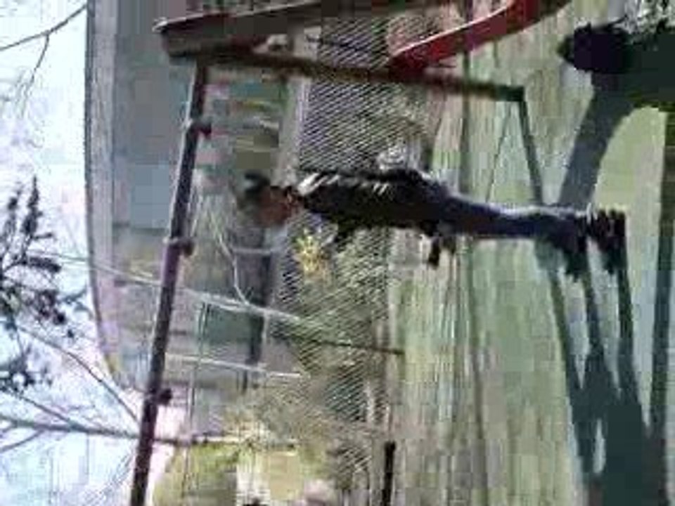 V180309_12.50