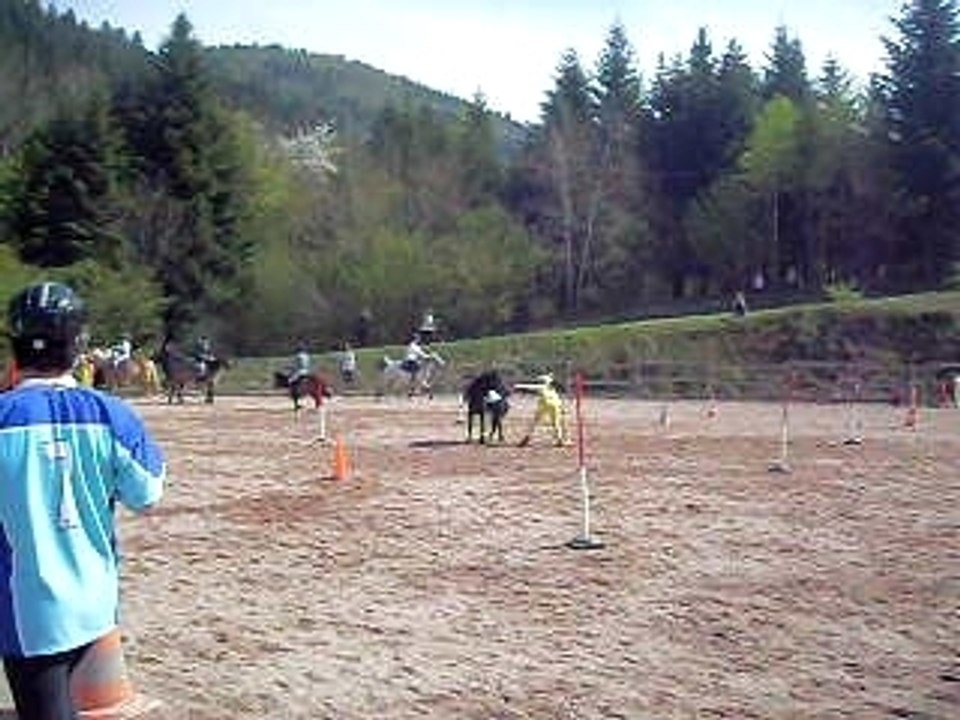 Teksab le 26 avril 2009 pony games