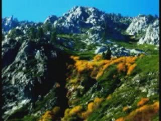 the lily of the valley