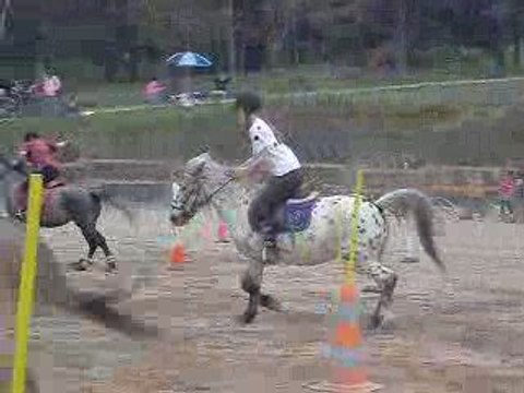 5 drapeau le 26 avril 2009 pony games