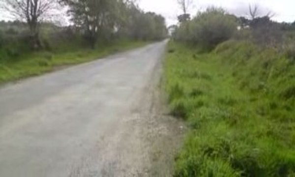 [Christo29400] Rieju Smx Top Rose