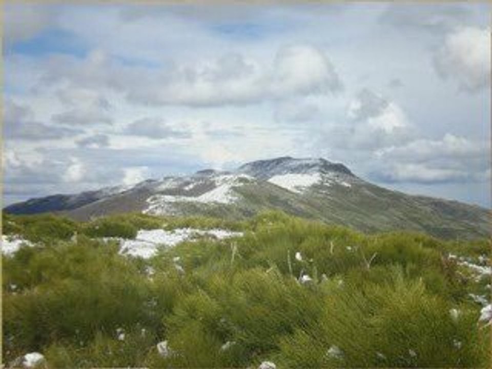 Cantal en avril
