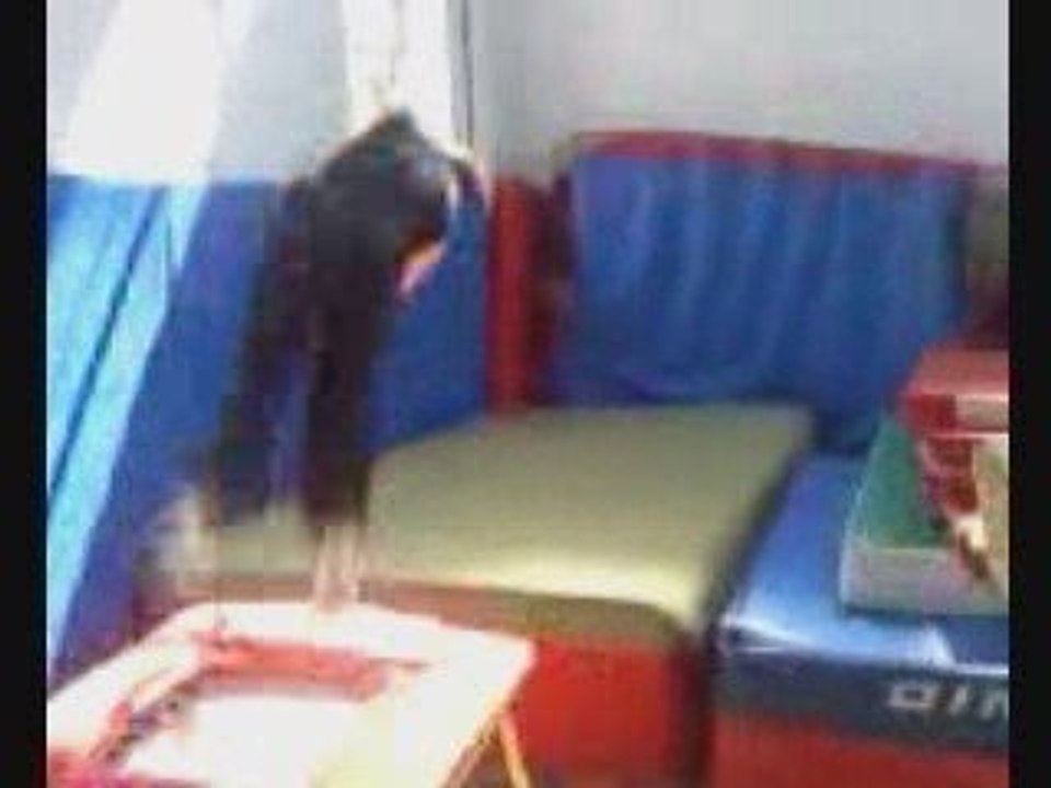Demo Gym