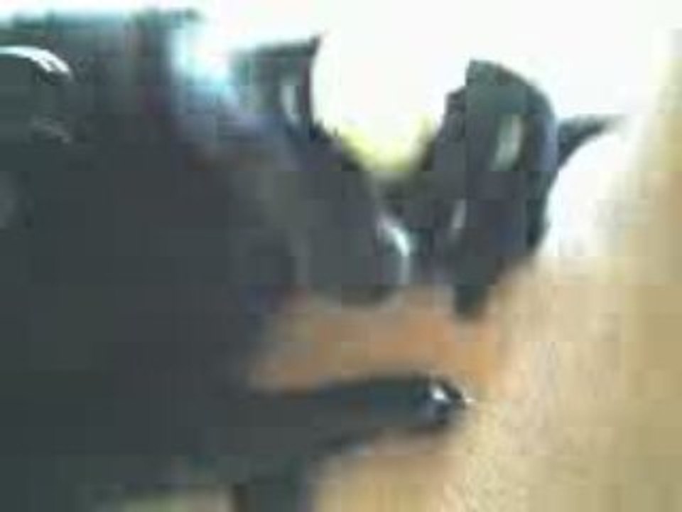 Grafiti2