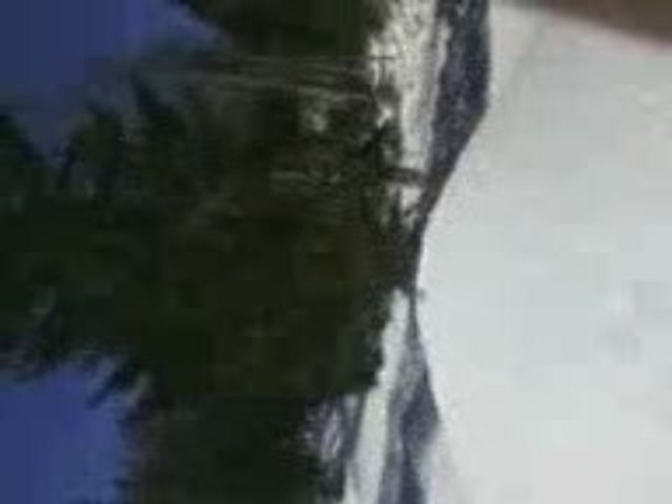 Mon sau en ski