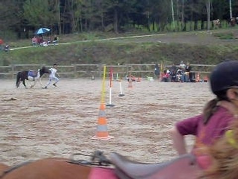 A terre a cheval le 26 avril 2009 pony games
