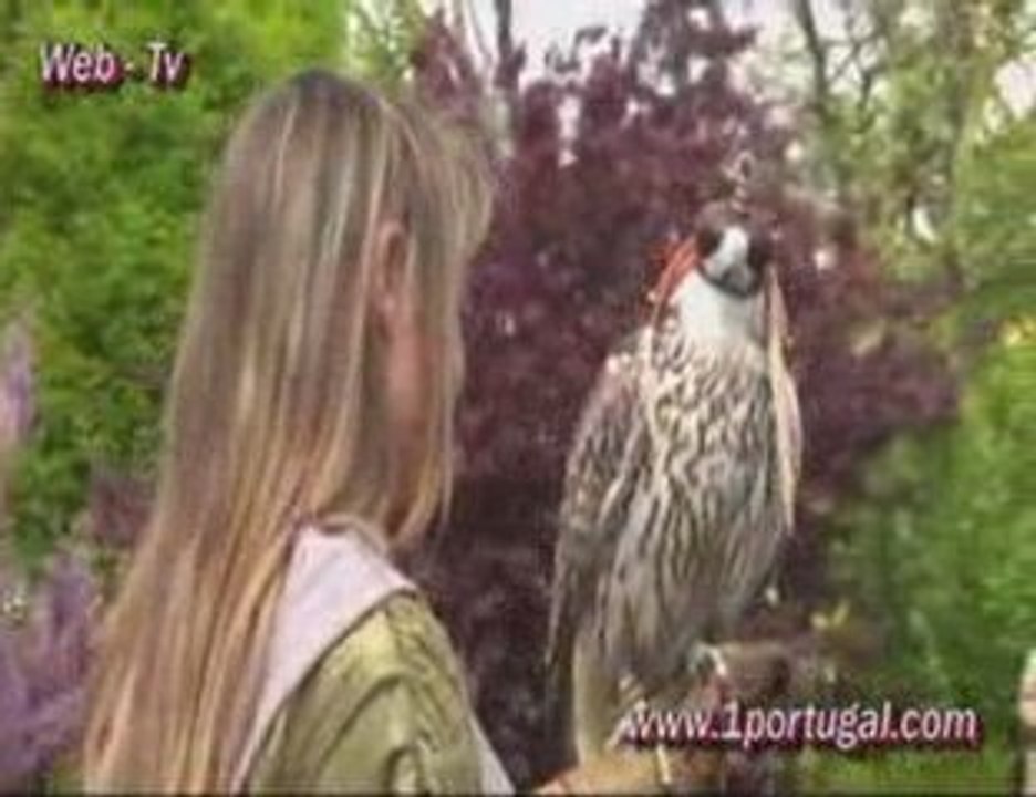 Feira Mediaval em Sartrouville ( 78 ) 01-05-2009 - N.3