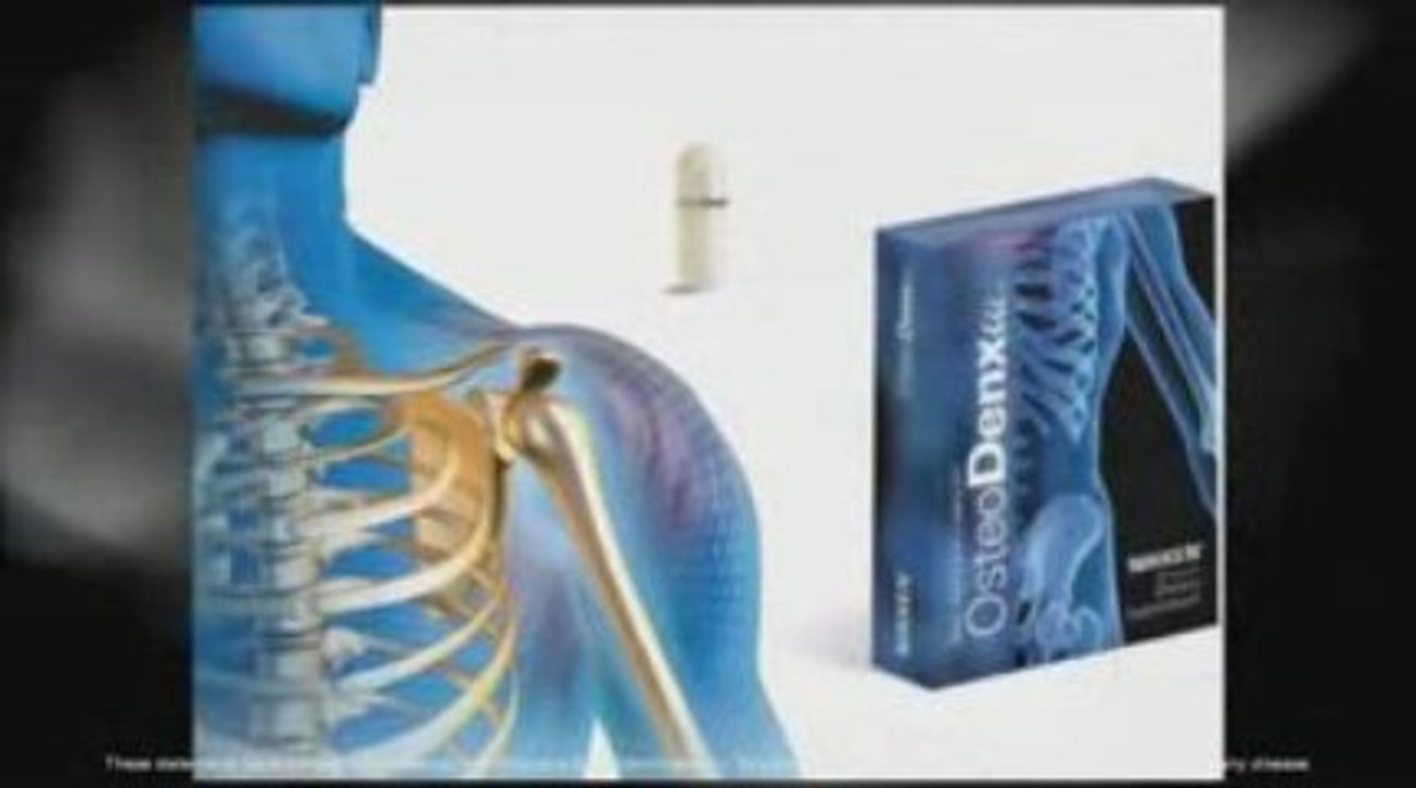 NIKKEN PiMag Optimizer II | Replacement Water Filters & Ring